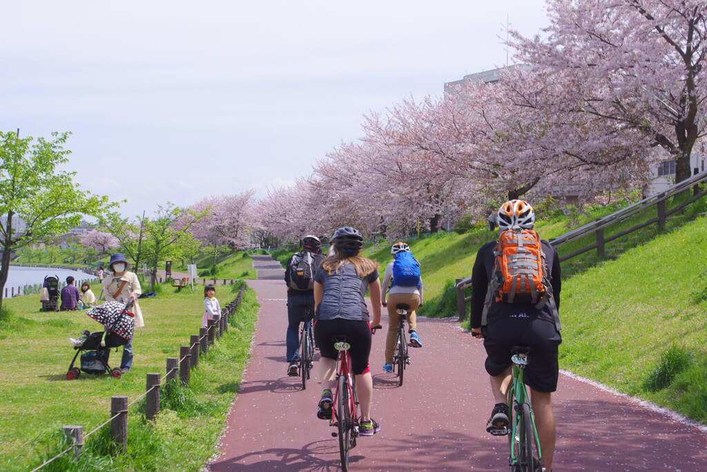 ルート F:川沿いのサイクリングロードを走り東京下町を感じるツアー